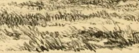 Picture 9 of 47 from The Bhilsa topes; or, Buddhist monuments of central India: (1854), leaf 421