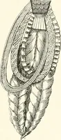 An illustration from The Bhilsa topes; or, Buddhist monuments of central India: (1854)