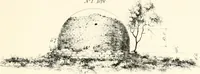 An illustration from The Bhilsa topes; or, Buddhist monuments of central India: (1854)