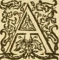 An illustration from The Bible (1606)