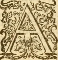 Picture 15 of 31 from The Bible (1606), leaf 802