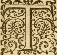 An illustration from The Bible (1606)