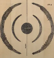 Picture 13 of 34 from Bible astronomy; or, The little book on the mysteries and wonder of the rise and fall of Babylon (1853), leaf 38