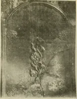 Picture 202 of 228 from The Bible in iron: (1914), leaf 130