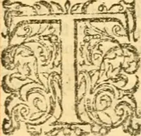 An illustration from The Bible : that is the Holy Scriptures conteined in the Old and New Testament ; translated according to the Ebrew and Greeke, and conferred with the best translations in divers languages .. (1615)