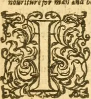 An illustration from The Bible : that is the Holy Scriptures conteined in the Old and New Testament ; translated according to the Ebrew and Greeke, and conferred with the best translations in divers languages .. (1615)