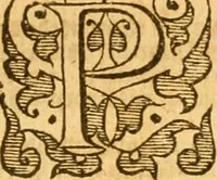 Picture 32 of 50 from The Bible : that is, the Holy scriptures contained in the Old and New Testament (1579), leaf 1124