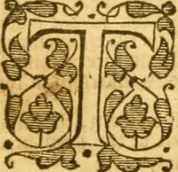 An illustration from The Bible : that is, the Holy scriptures contained in the Old and New Testament (1579)