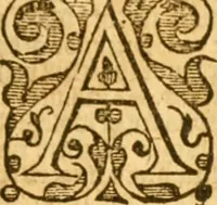 An illustration from The Bible : that is, the Holy scriptures contained in the Old and New Testament (1579)