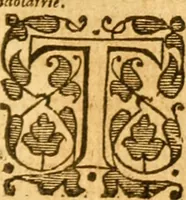 Picture 21 of 50 from The Bible : that is, the Holy scriptures contained in the Old and New Testament (1579), leaf 784