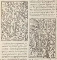 Picture 52 of 68 from Biblia pictvris illvstrata : breves in eadem annotationes, ex doctiss. interpretationibus, & Hebraeorum commentariis : interpretatio nominum Hebraicorum : index epistolarum & euangeliorum totius anni. (1540), leaf 1040