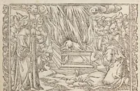 Picture 20 of 68 from Biblia pictvris illvstrata : breves in eadem annotationes, ex doctiss. interpretationibus, & Hebraeorum commentariis : interpretatio nominum Hebraicorum : index epistolarum & euangeliorum totius anni. (1540), leaf 341