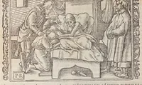 Picture 6 of 68 from Biblia pictvris illvstrata : breves in eadem annotationes, ex doctiss. interpretationibus, & Hebraeorum commentariis : interpretatio nominum Hebraicorum : index epistolarum & euangeliorum totius anni. (1540), leaf 70