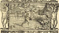 An illustration from Biblia Sacra Vulgatae Editionis : Sixti V, Pont. Max. ivssv recognita atque edita (1669)