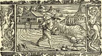Picture 180 of 258 from Biblia Sacra Vulgatae Editionis : Sixti V, Pont. Max. ivssv recognita atque edita (1669), leaf 766