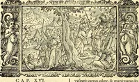 An illustration from Biblia Sacra Vulgatae Editionis : Sixti V, Pont. Max. ivssv recognita atque edita (1669)