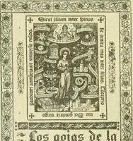 Picture 10 of 128 from Bibliografía de la lengua valenciana : o sea catálogo razonado por orden alfabético de autores de los libros, folletos, obras dramáticas, periódicos, coloquios, coplas, chistes, discursos, romances, alocuciones, cantares, gozes, etc., que escritos en lengua valenciana y bilingüe, han visto la luz pública desde el establecimiento de la imprenta en España hasta nuestros días (1915), leaf 44