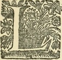 Picture 3 of 4 from Bibliografía mexicana del siglo XVIII (1902), leaf 10