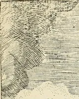 An illustration from Bibliografía mexicana del siglo XVIII (1902)
