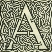 Picture 20 of 28 from Bibliographical essays (1905), leaf 120