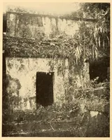 Picture 11 of 11 from Bibliographic notes on Palenque, Chiapas (1928), leaf 50