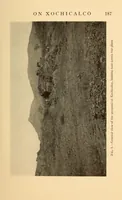 Picture 2 of 6 from Bibliographic notes on Xochicalco, Mexico (1928), leaf 13