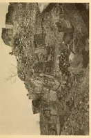 An illustration from Bibliographic notes on Xochicalco, Mexico (1928)