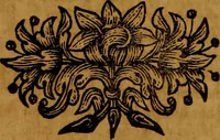 An illustration from Bibliotheca acroamatica, theologica, juridica, medica, philosophica, historica & philologica : comprehendens recensionem specialem omnium codicum msctorum ... Augustissimae Bibliothecae Caesareae Vindobonensis, olim a duumviris cl. Petro Lambecio et Daniele Nesselio congesta : nunc autem ... redacta ... à Jacobo Friderico Reimmanno ... nec non index triplex copiosissimus .. (1712)