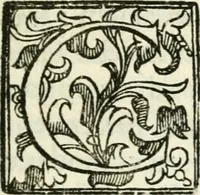 Picture 7 of 50 from Bibliothecae Alexandrinae icones symbolicae p. d. Christofori Giardae ... elogiis illustratae (1626), leaf 10