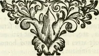 An illustration from Bibliothecae Alexandrinae icones symbolicae p. d. Christofori Giardae ... elogiis illustratae (1626)