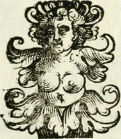Picture 25 of 50 from Bibliothecae Alexandrinae icones symbolicae p. d. Christofori Giardae ... elogiis illustratae (1626), leaf 98