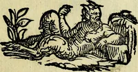 An illustration from Bibliothecae Alexandrinae icones symbolicae P.D. Christofori Giardae cler. reg. S. Pauli elogiis illustratae (1628)