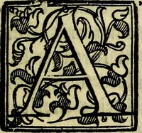 An illustration from Bibliothecae Alexandrinae icones symbolicae P.D. Christofori Giardae cler. reg. S. Pauli elogiis illustratae (1628)