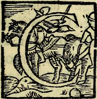 An illustration from Bibliothecae Alexandrinae icones symbolicae P.D. Christofori Giardae cler. reg. S. Pauli elogiis illustratae (1628)