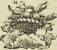 Picture 12 of 13 from Bibliotheca Maphaei Pinellii Veneti magno jam studio collecta (1787), leaf 470