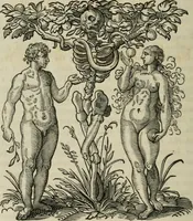 Picture 56 of 75 from Bibliotheca Spenceriana; or, A descriptive catalogue of the ... library of George John, earl Spencer (1814), leaf 317