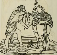 An illustration from Bibliotheca Spenceriana; or, A descriptive catalogue of the ... library of George John, earl Spencer (1814)