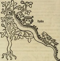 An illustration from Bibliotheca Spenceriana; or, A descriptive catalogue of the ... library of George John, earl Spencer (1814)