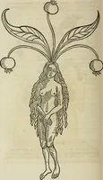 Picture 85 of 124 from Bibliotheca Spenceriana; or, A descriptive catalogue of the ... library of George John, earl Spencer (1814), leaf 551