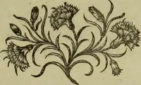Picture 2 of 7 from Bibliothèque historique de la France, contenant le catalogue des ouvrages, imprimés & manuscrits, qui traitent de l'histoire de ce royaume, ou qui y ont rapport; avec des notes critiques et historiques: (1768), leaf 16