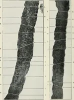 Picture 10 of 24 from Bibliotics; or, The study of documents; determination of the individual character of handwriting and detection of fraud and forgery. New methods of research (1901), leaf 125