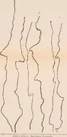 Picture 11 of 24 from Bibliotics; or, The study of documents; determination of the individual character of handwriting and detection of fraud and forgery. New methods of research (1901), leaf 131