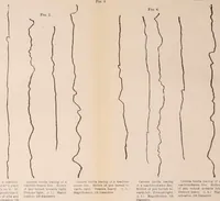 An illustration from Bibliotics; or, The study of documents; determination of the individual character of handwriting and detection of fraud and forgery. New methods of research (1901)