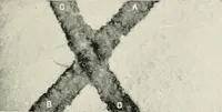 An illustration from Bibliotics; or, The study of documents; determination of the individual character of handwriting and detection of fraud and forgery. New methods of research (1901)