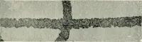 An illustration from Bibliotics; or, The study of documents; determination of the individual character of handwriting and detection of fraud and forgery. New methods of research (1901)
