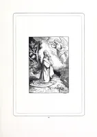 Picture 14 of 19 from Biblische Bilder (1876), leaf 63