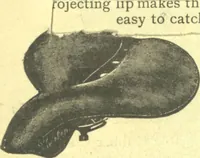 An illustration from Bicycle accessories : 1900 [catalogue (1900)