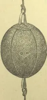 An illustration from Bicycle accessories : 1900 [catalogue (1900)