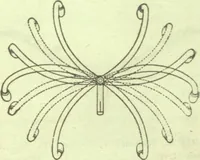 An illustration from Bicycle accessories and repair supplies : bicycles, motorcycle accessories, motor accessories : [catalogue (1918)