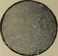 An illustration from Bicycles and supplies (1918)